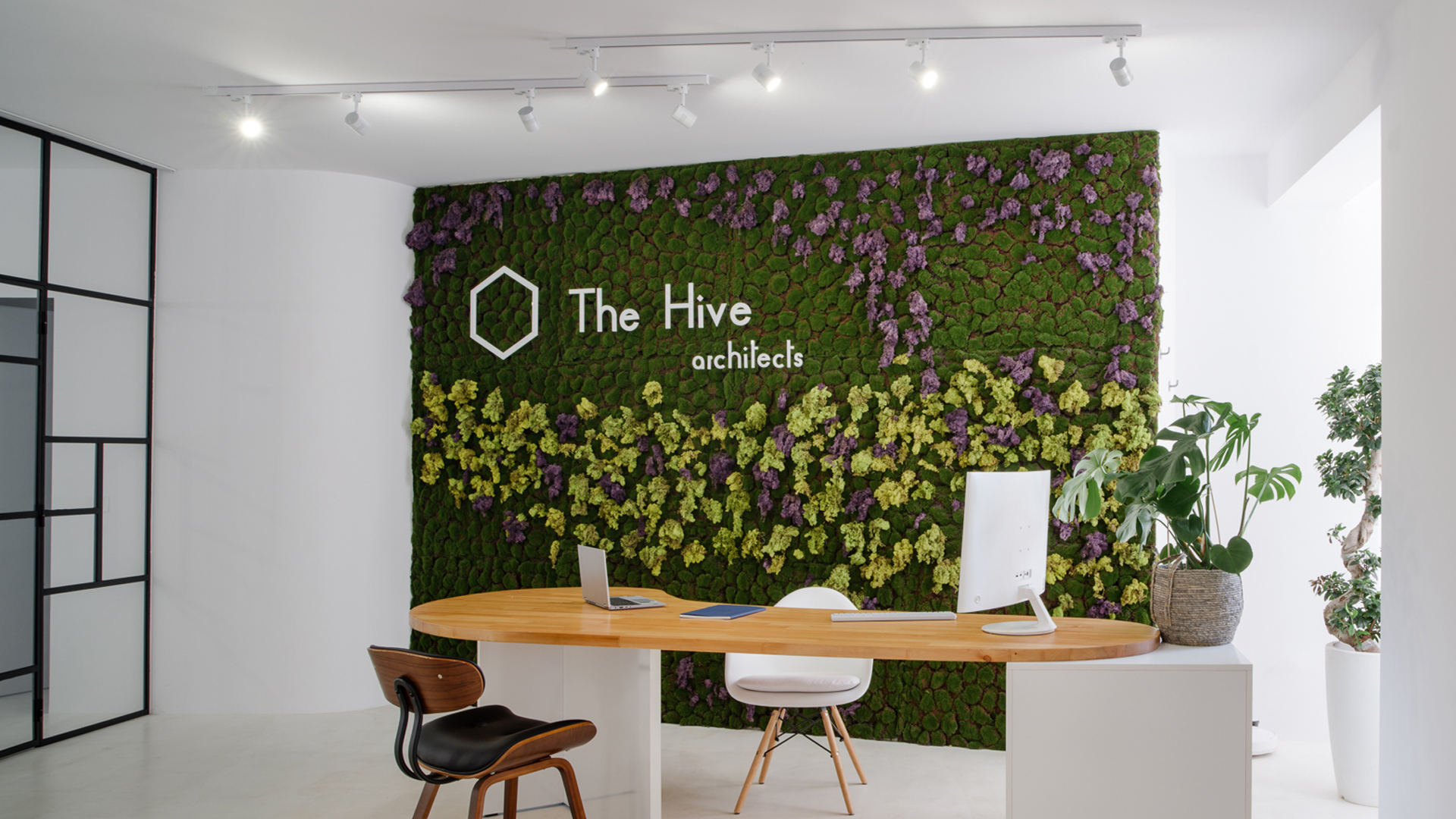 architect office main work space the hive arhitects green wall glass