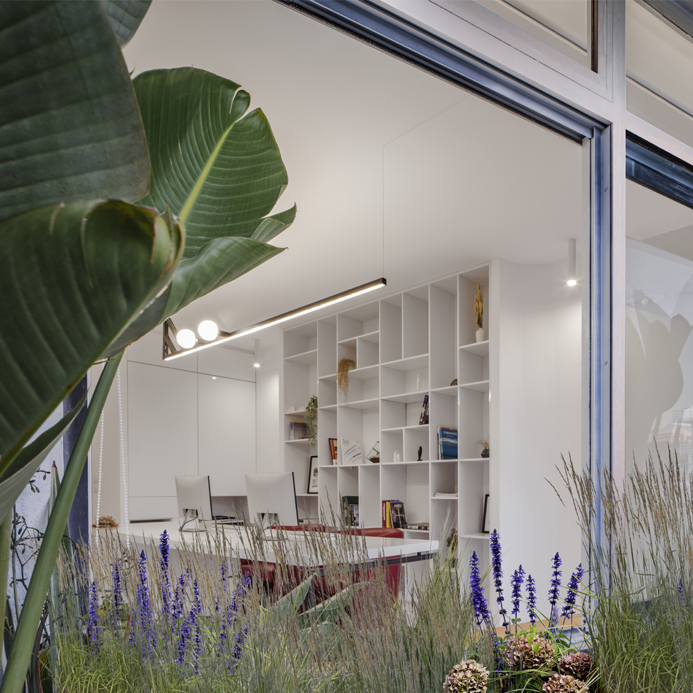 architect office work space open window view the hive architects